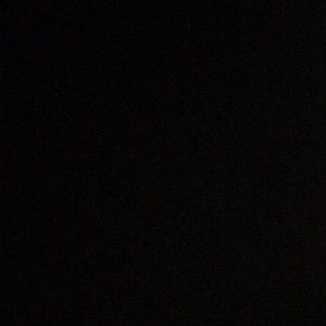 Meet your Posher, Quinn